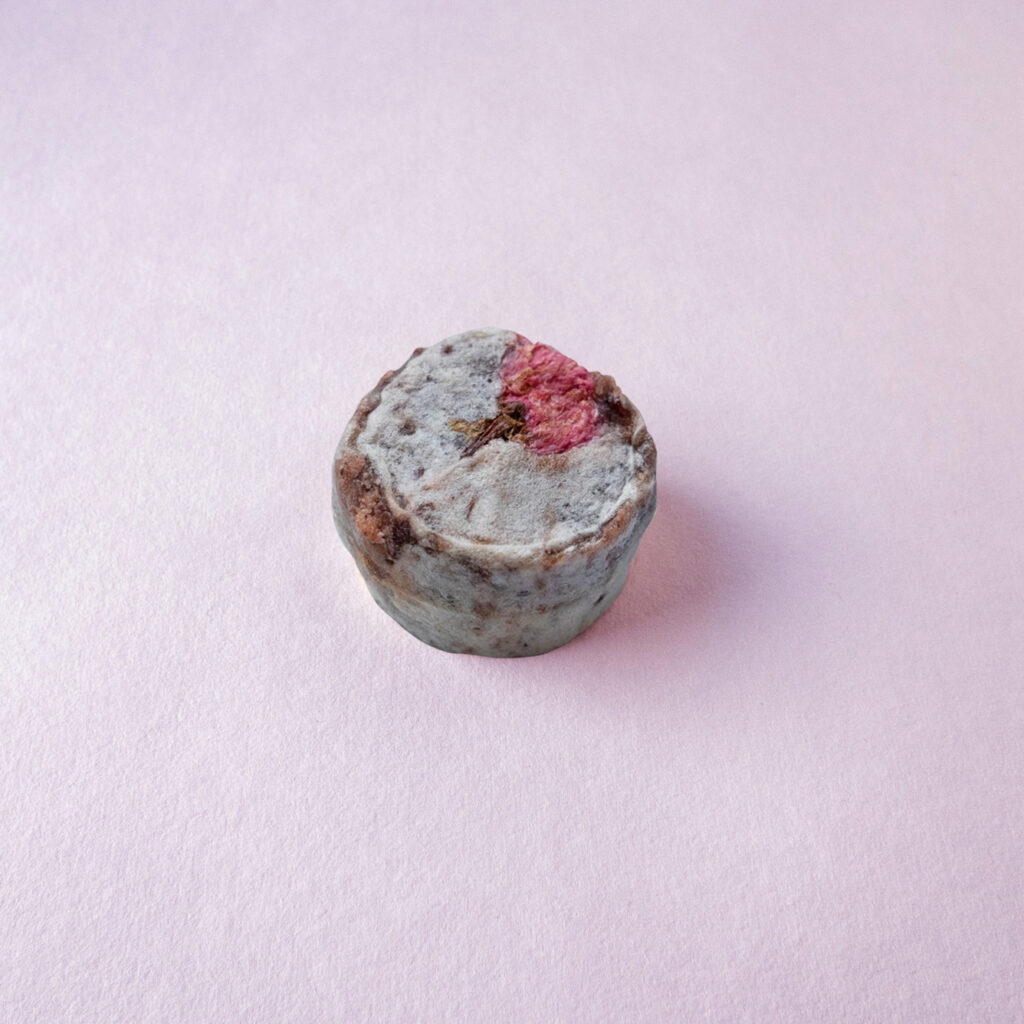 写真: 和泉庄/桜の小きんつば　かわいいサイズ感、ふんわり春の香り感じる和菓子